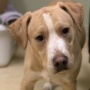 Meet your Posher, Cathy